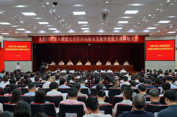 大渡口区深入推进民营经济高质量发展